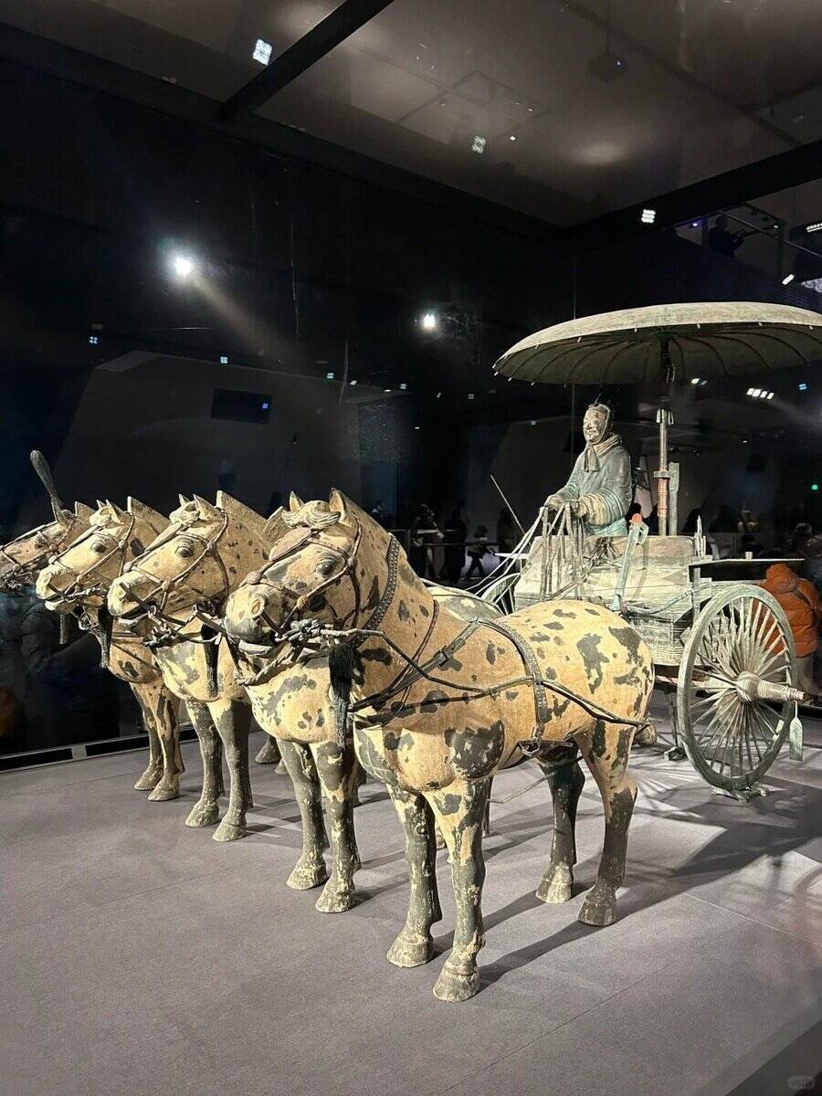 Medical Tourism in China | Suzhou Fenglin International