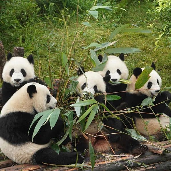 Medical Tourism in China | Suzhou Fenglin International