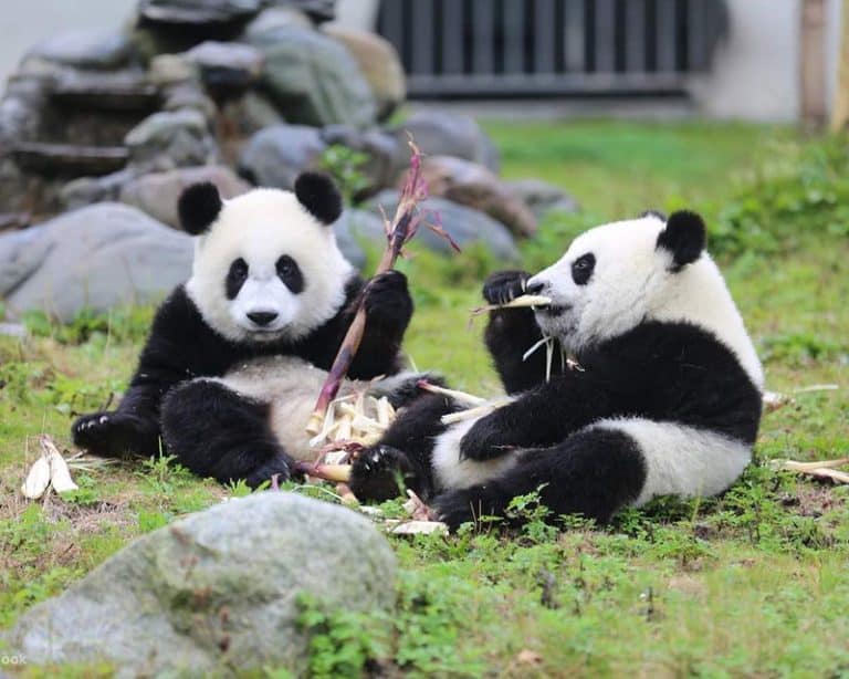 Medical Tourism in China | Suzhou Fenglin International