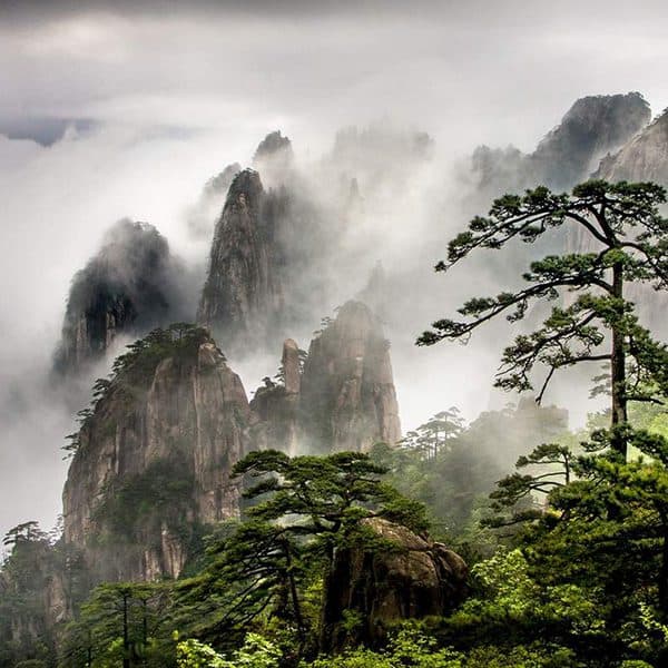 Medical Tourism in China | Suzhou Fenglin International