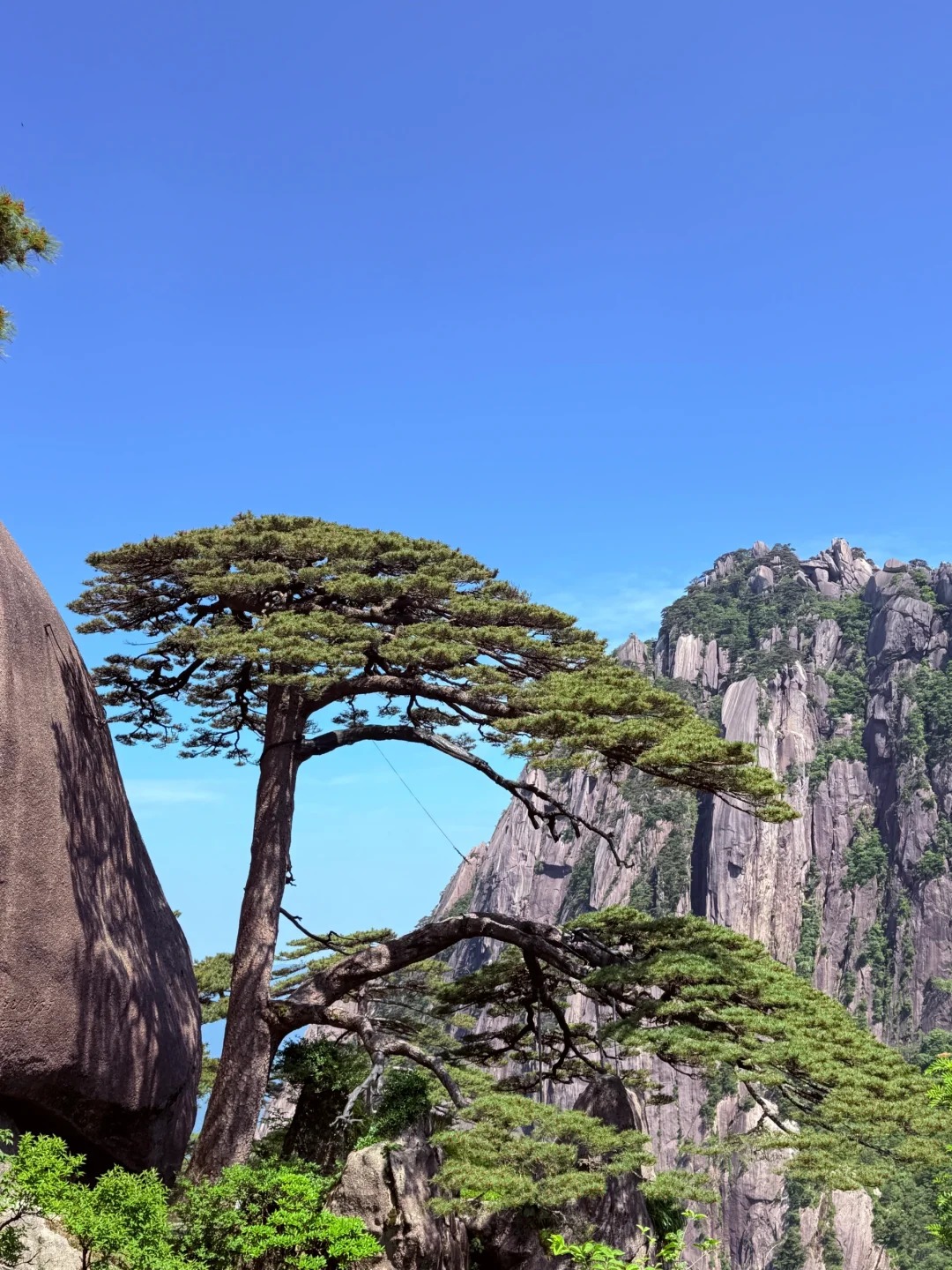 Medical Tourism in China | Suzhou Fenglin International