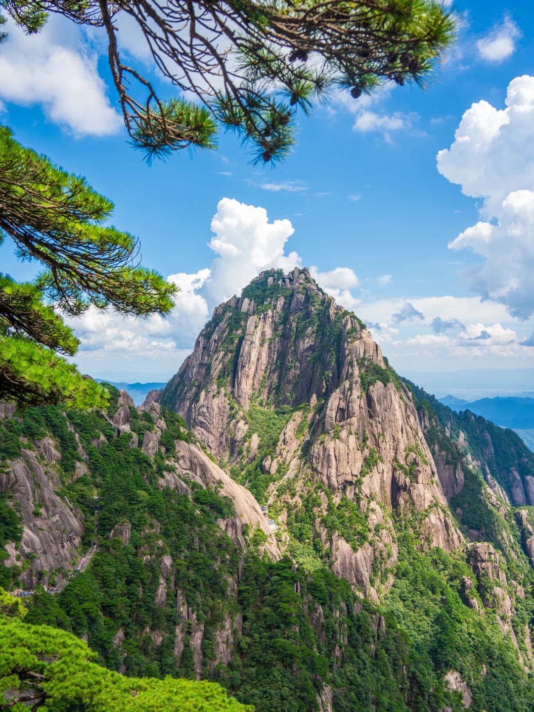 Medical Tourism in China | Suzhou Fenglin International