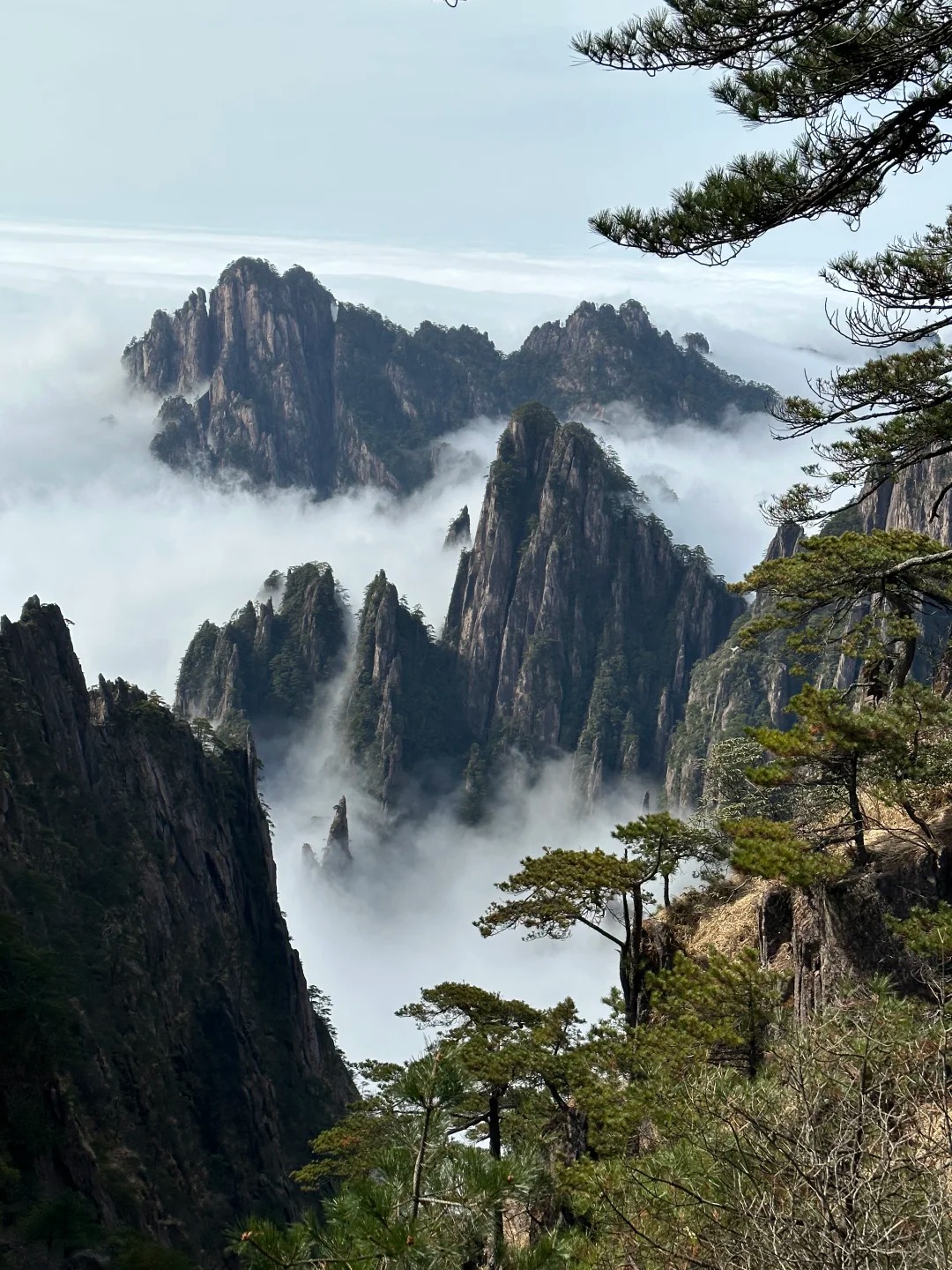 Medical Tourism in China | Suzhou Fenglin International