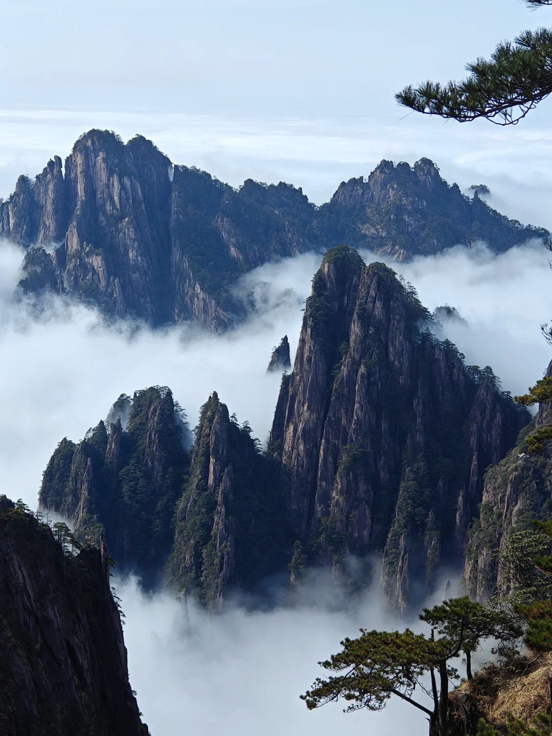 Medical Tourism in China | Suzhou Fenglin International