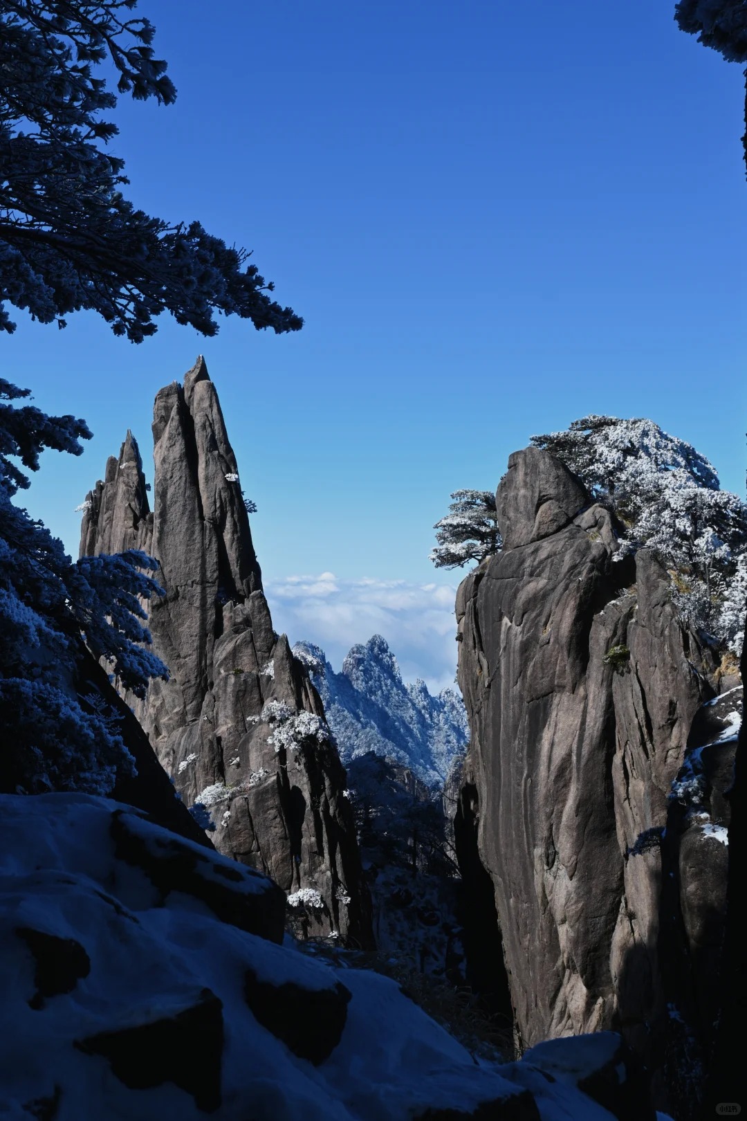 Medical Tourism in China | Suzhou Fenglin International