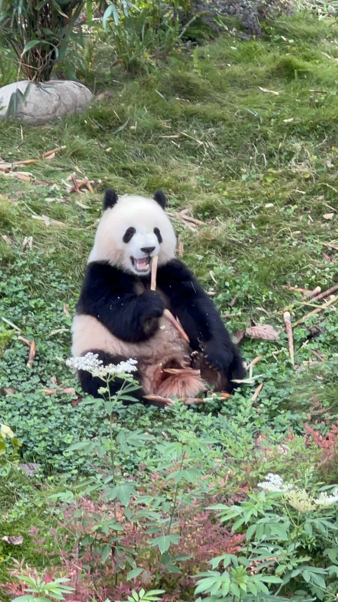 Medical Tourism in China | Suzhou Fenglin International