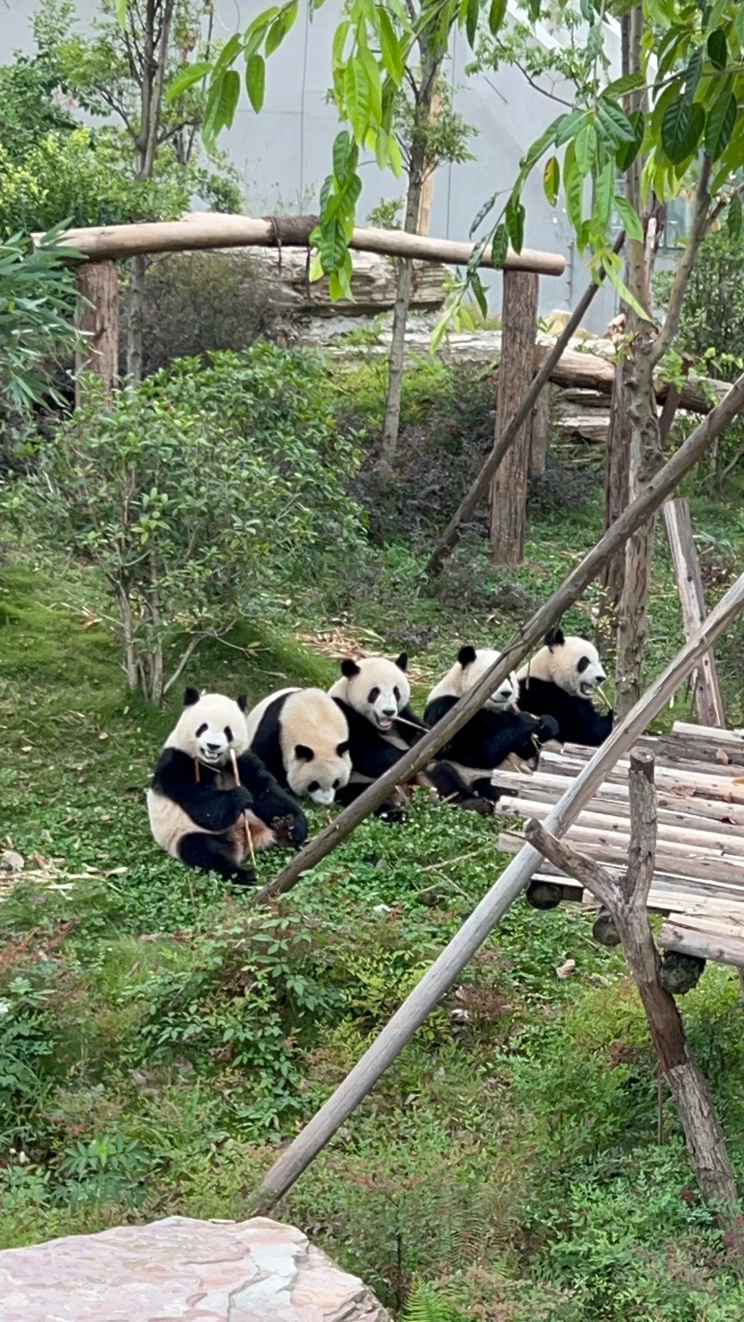 Medical Tourism in China | Suzhou Fenglin International