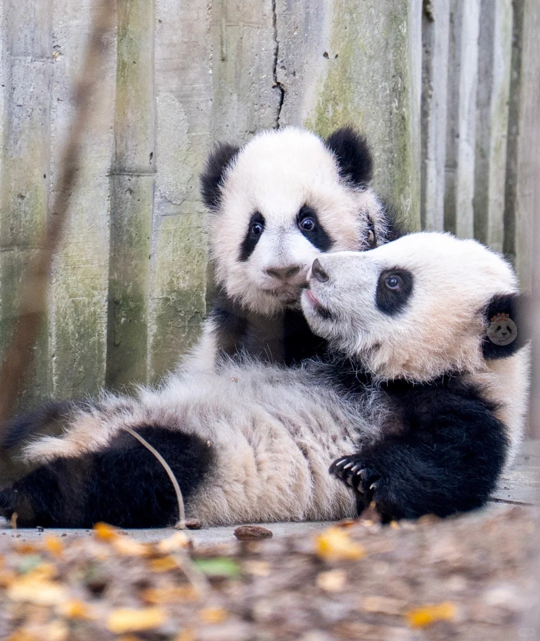 Medical Tourism in China | Suzhou Fenglin International