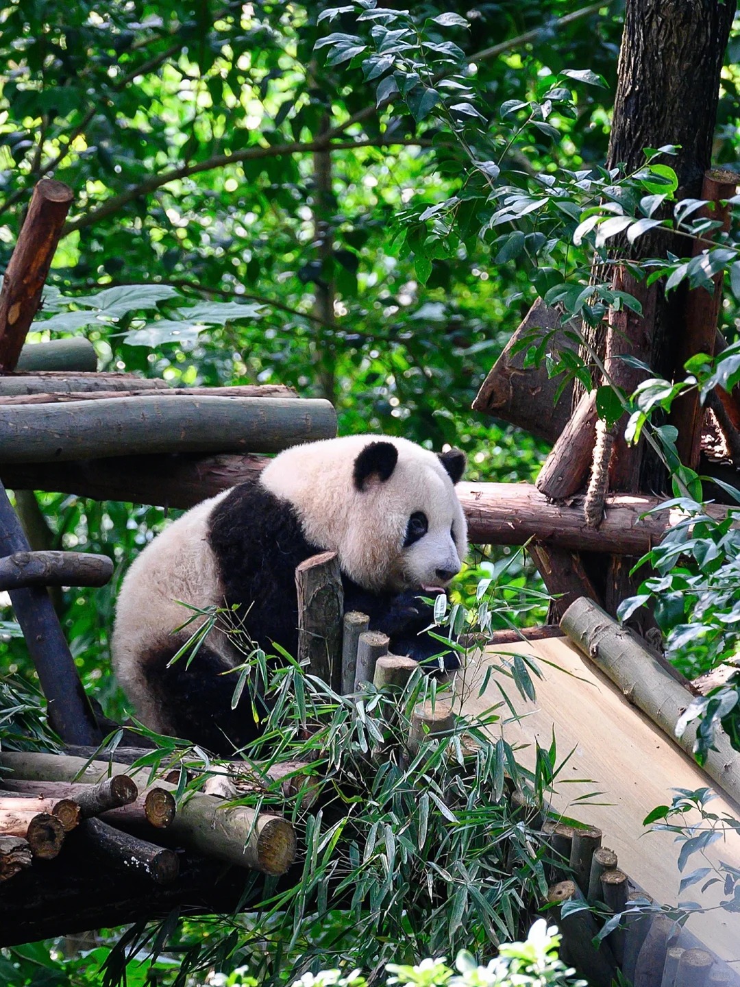 Medical Tourism in China | Suzhou Fenglin International