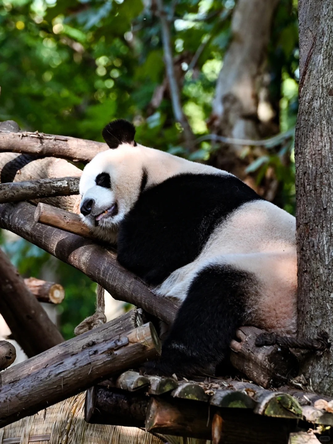 Medical Tourism in China | Suzhou Fenglin International