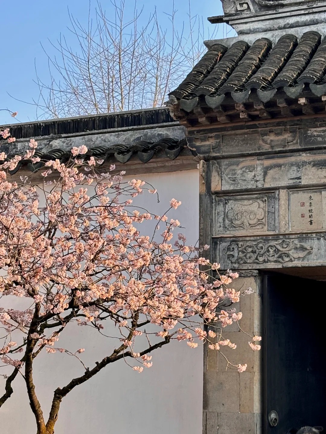 Medical Tourism in China | Suzhou Fenglin International