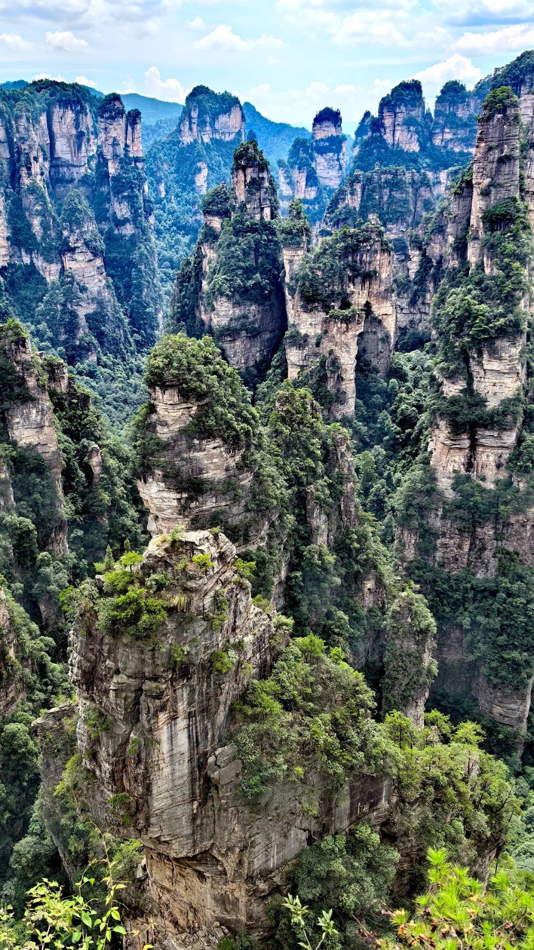 Medical Tourism in China | Suzhou Fenglin International