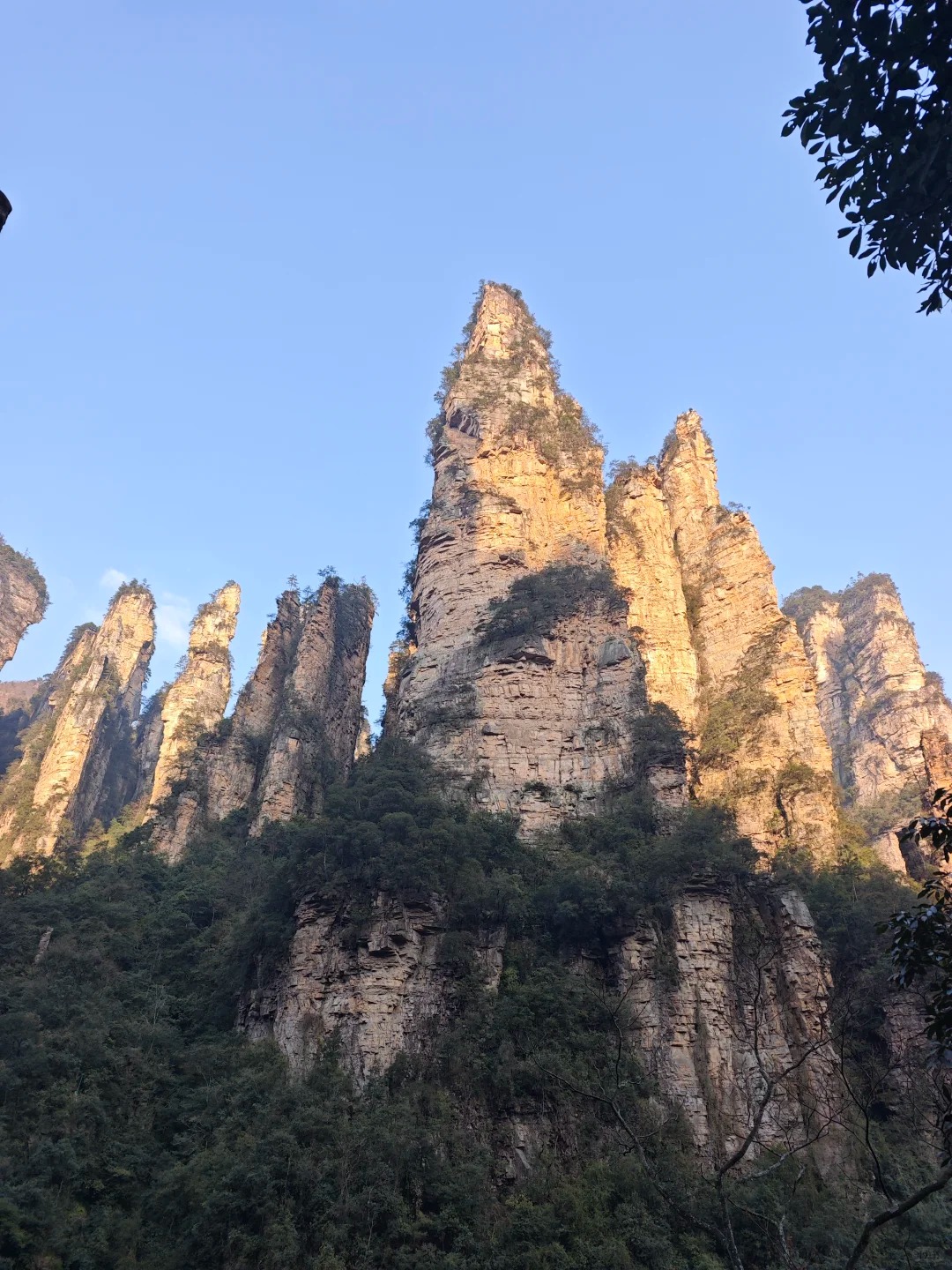 Medical Tourism in China | Suzhou Fenglin International