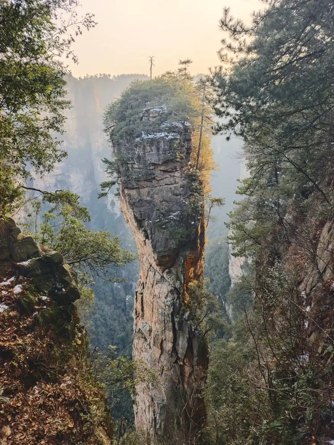 Medical Tourism in China | Suzhou Fenglin International