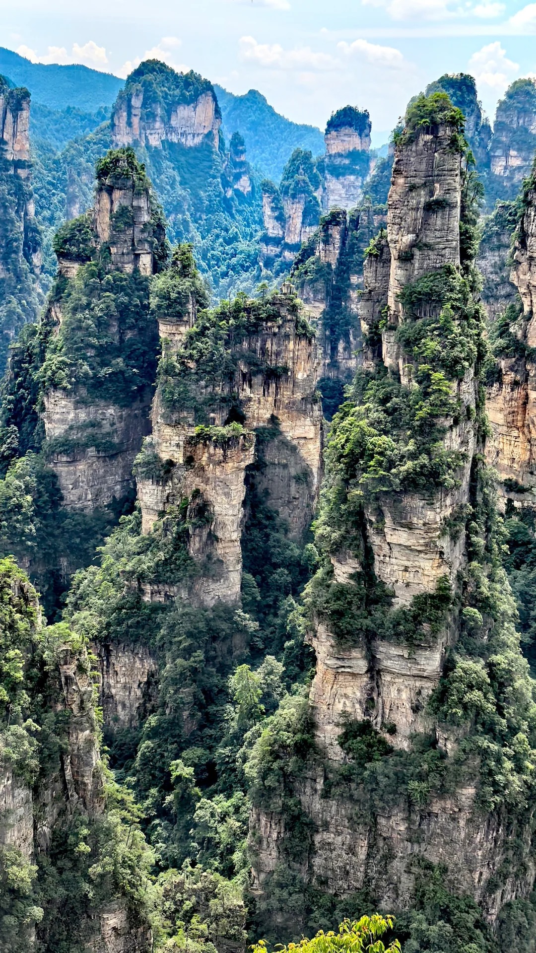 Medical Tourism in China | Suzhou Fenglin International