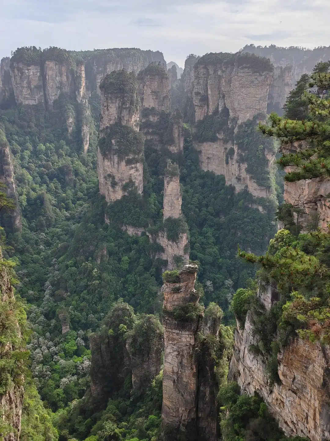 Medical Tourism in China | Suzhou Fenglin International