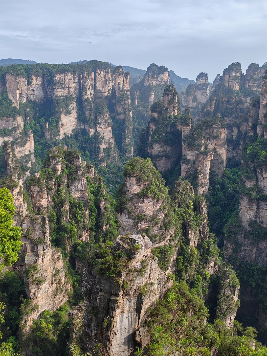 Medical Tourism in China | Suzhou Fenglin International