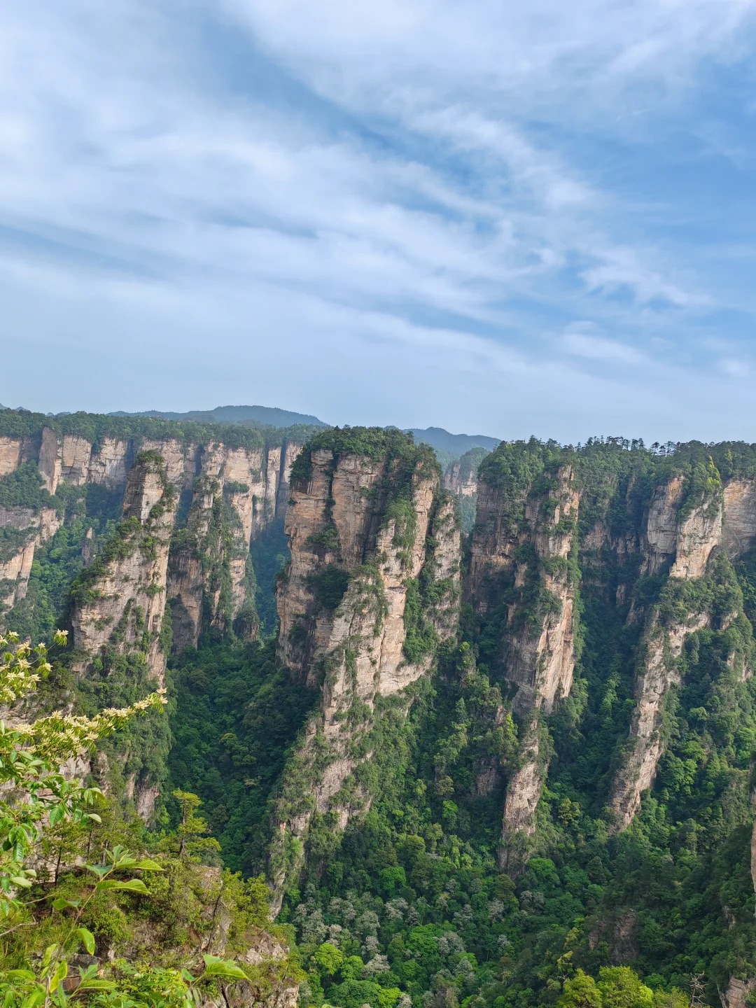 Medical Tourism in China | Suzhou Fenglin International