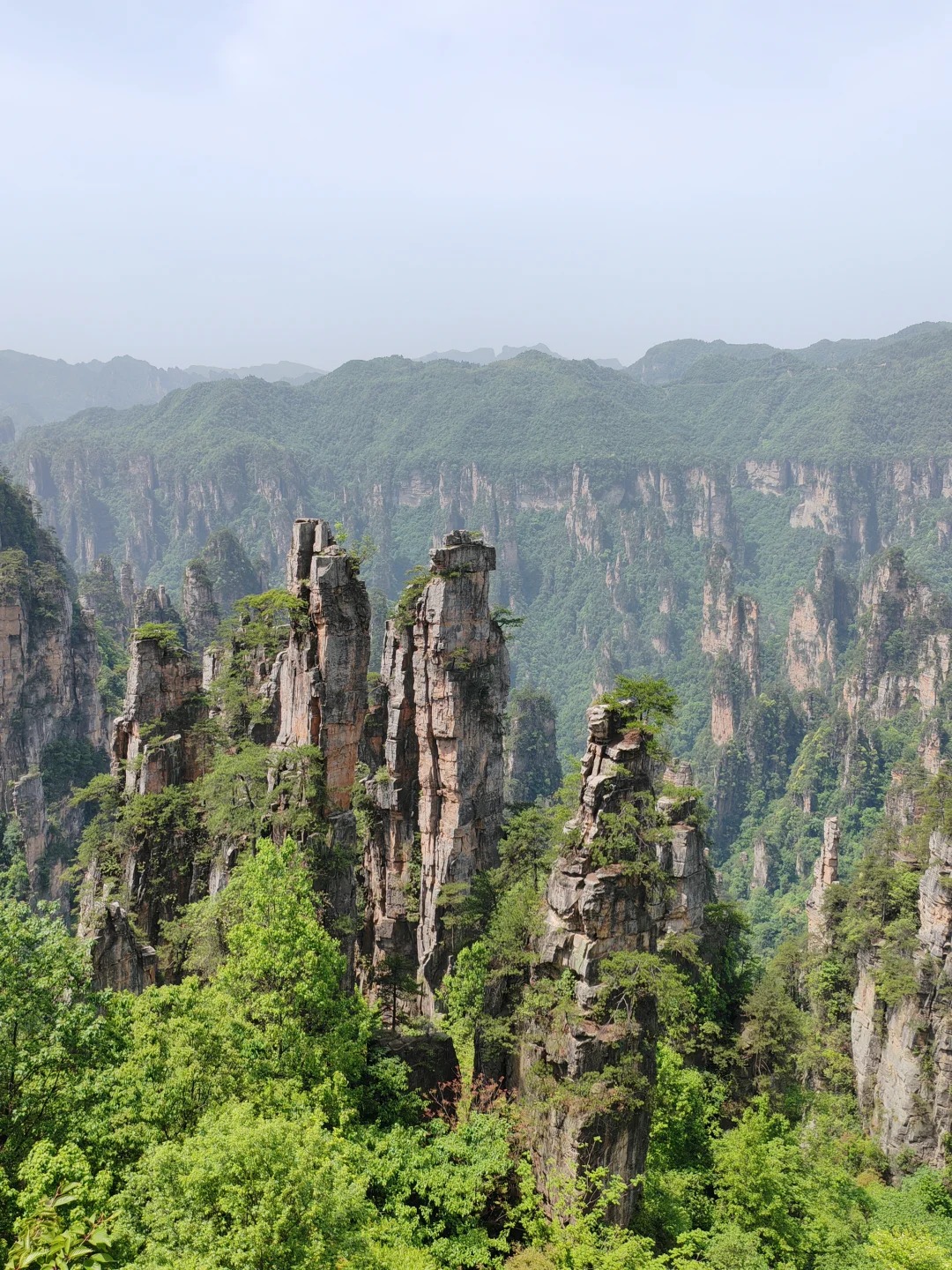 Medical Tourism in China | Suzhou Fenglin International