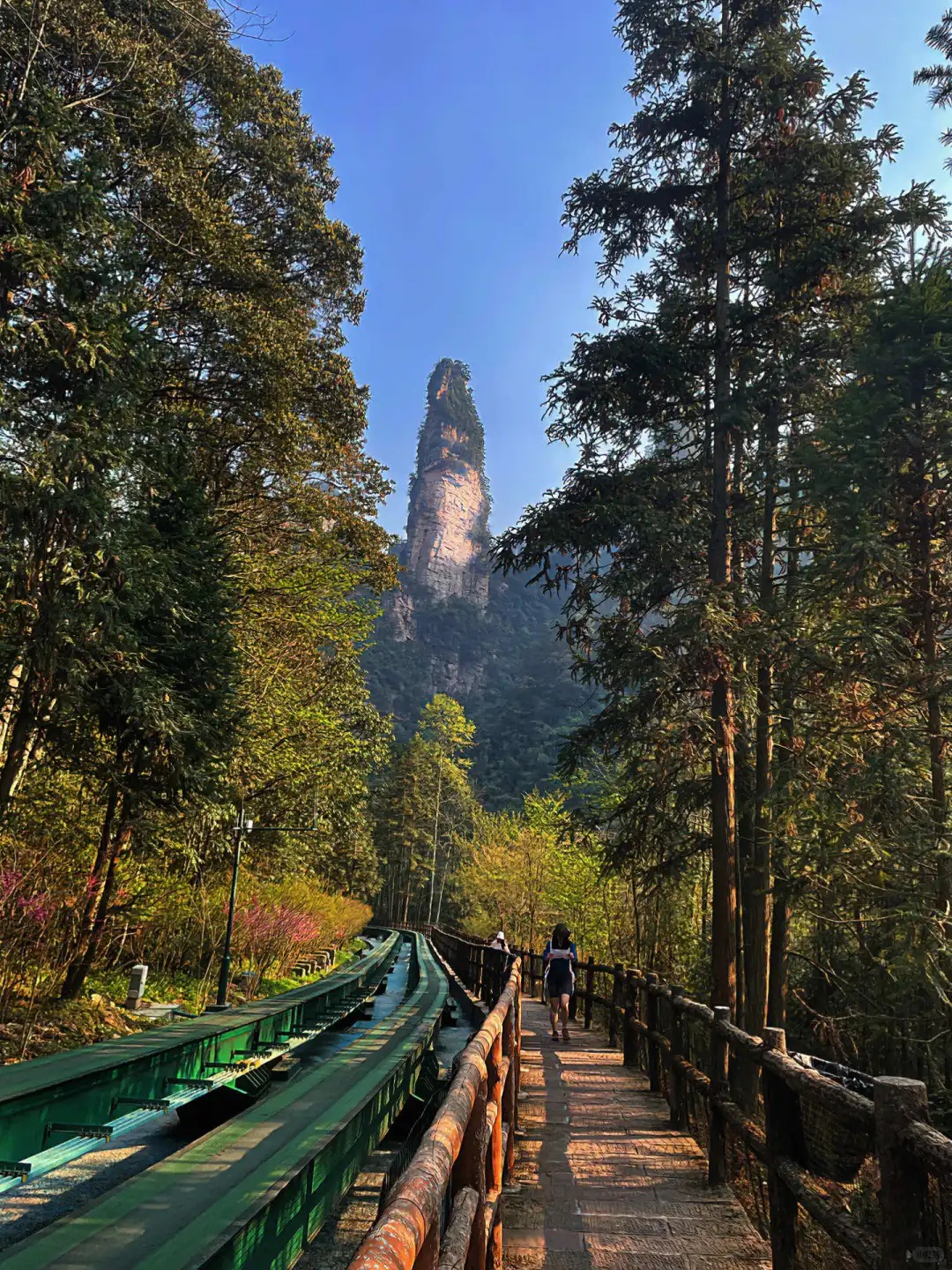 Medical Tourism in China | Suzhou Fenglin International