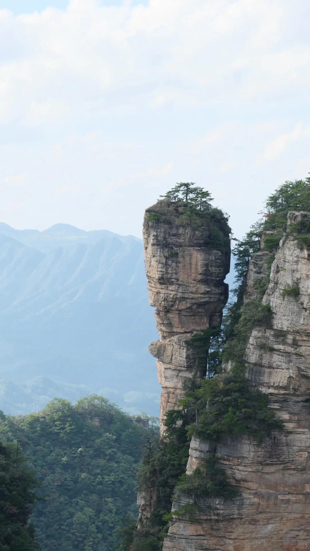 Medical Tourism in China | Suzhou Fenglin International