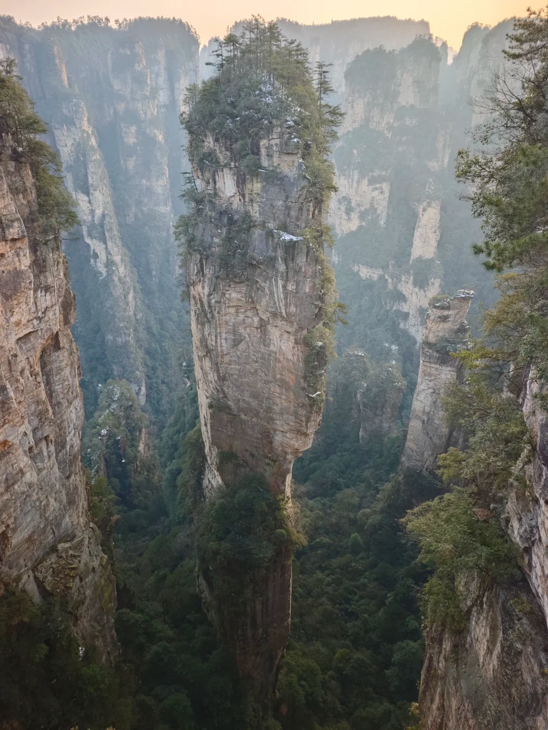 Medical Tourism in China | Suzhou Fenglin International