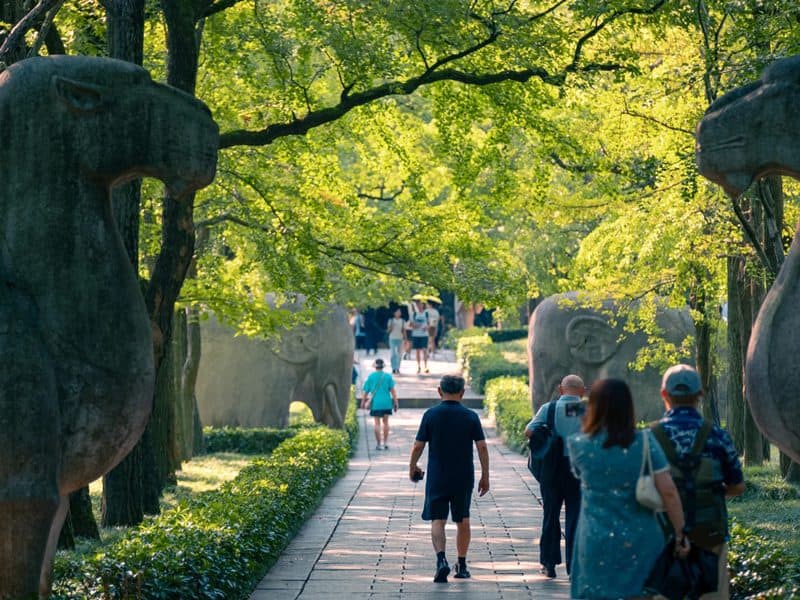 Medical Tourism in China | Suzhou Fenglin International