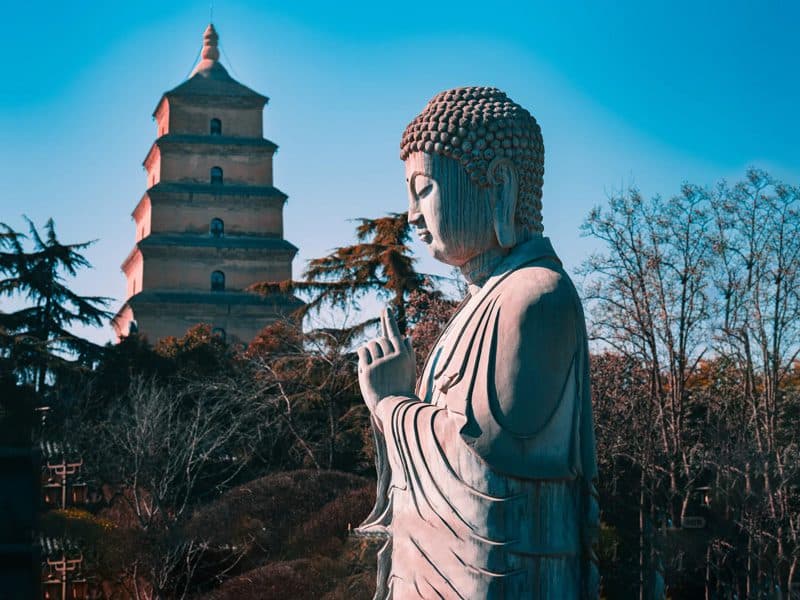 Medical Tourism in China | Suzhou Fenglin International