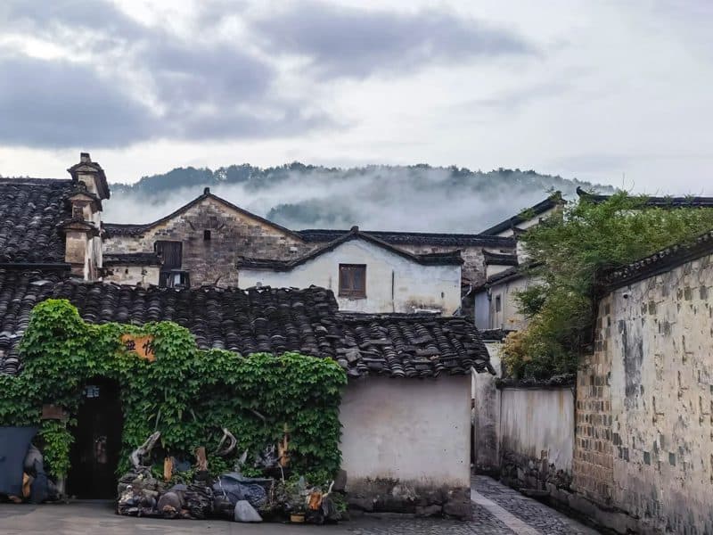 Medical Tourism in China | Suzhou Fenglin International