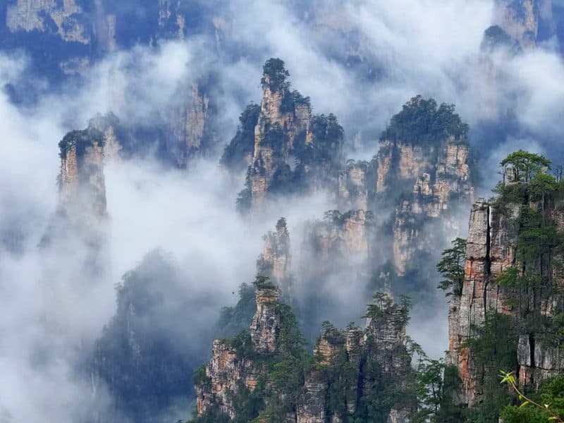 Medical Tourism in China | Suzhou Fenglin International