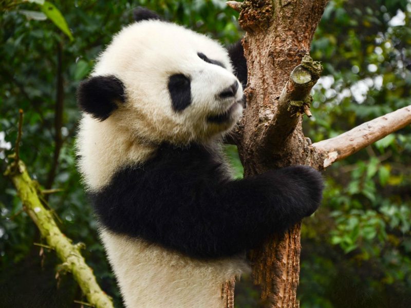 Medical Tourism in China | Suzhou Fenglin International