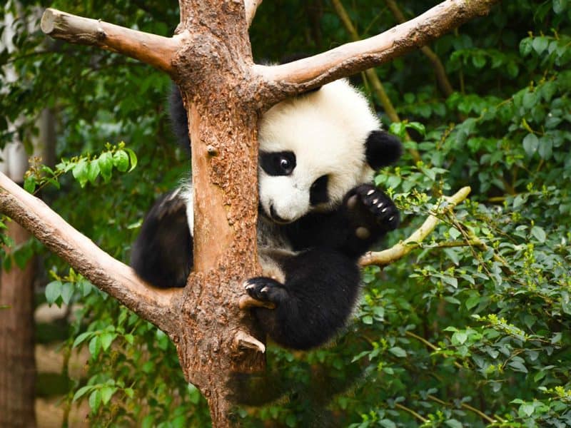 Medical Tourism in China | Suzhou Fenglin International