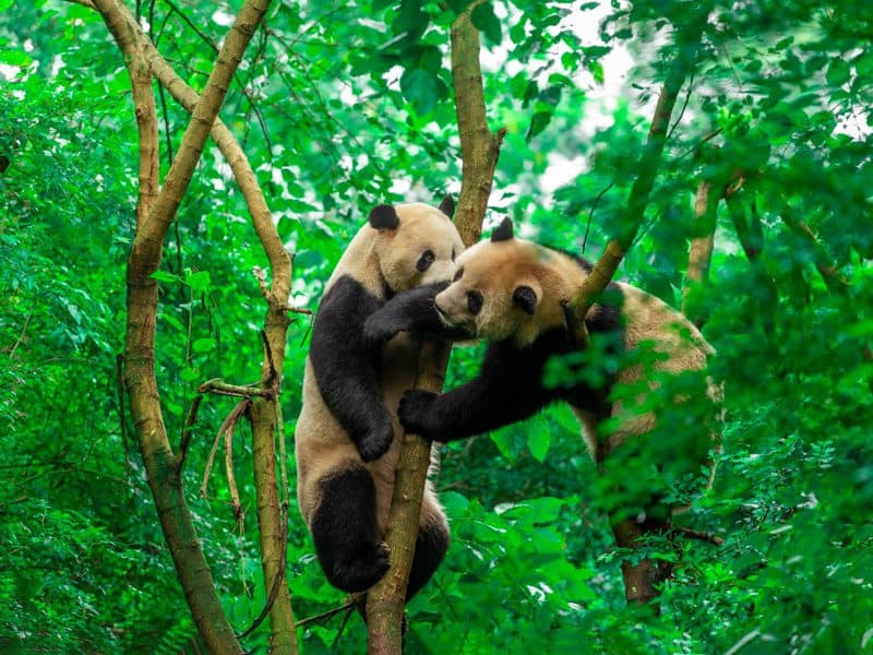 Medical Tourism in China | Suzhou Fenglin International