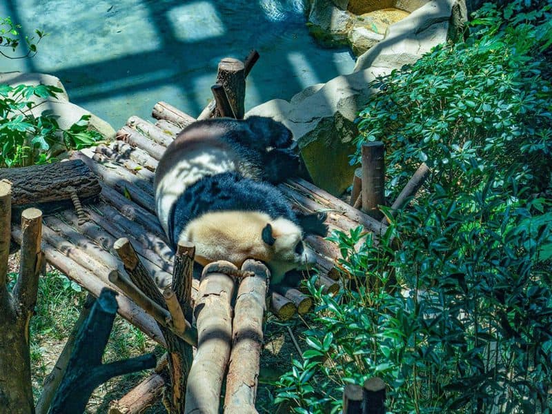 Medical Tourism in China | Suzhou Fenglin International