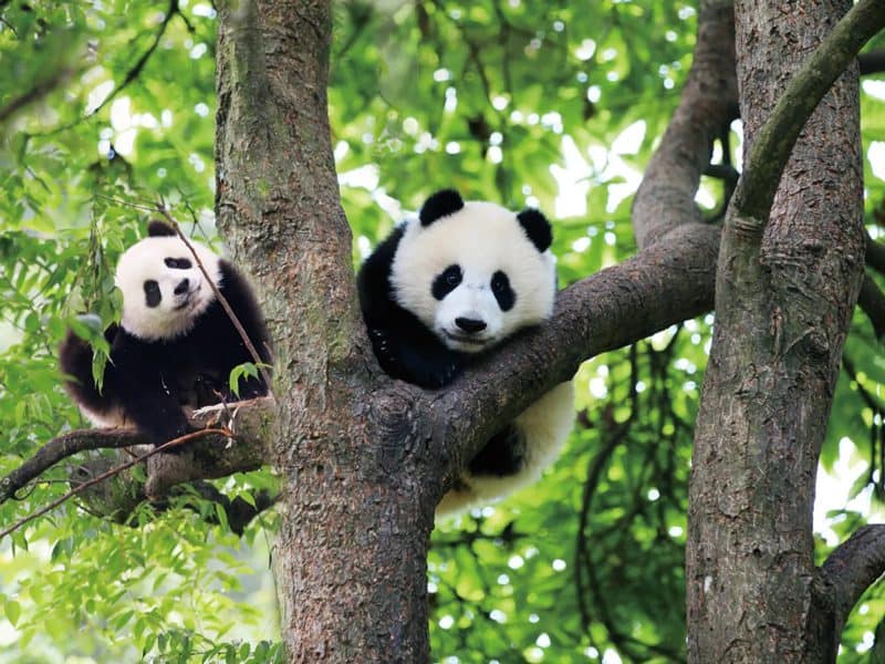 Medical Tourism in China | Suzhou Fenglin International