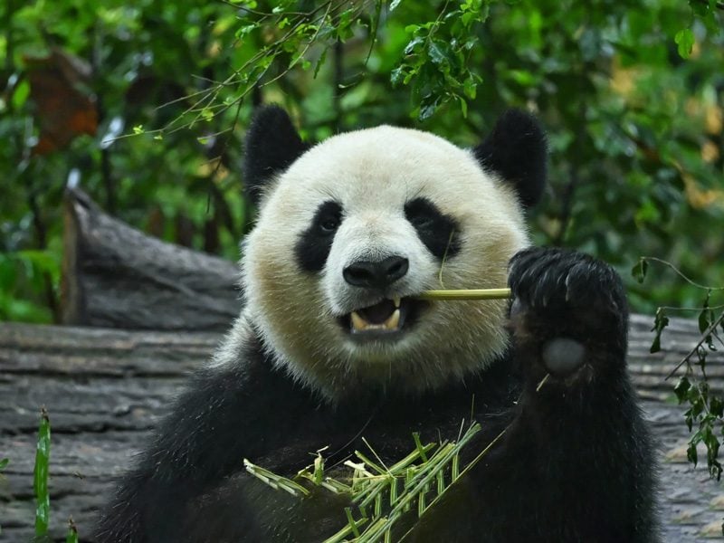 Medical Tourism in China | Suzhou Fenglin International