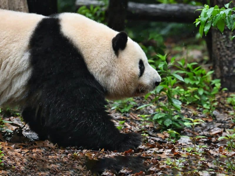 Medical Tourism in China | Suzhou Fenglin International