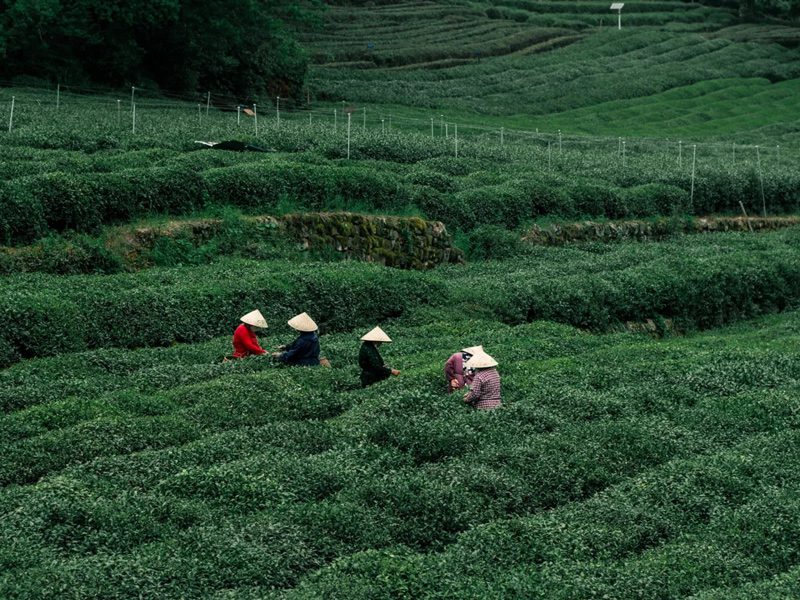 Medical Tourism in China | Suzhou Fenglin International