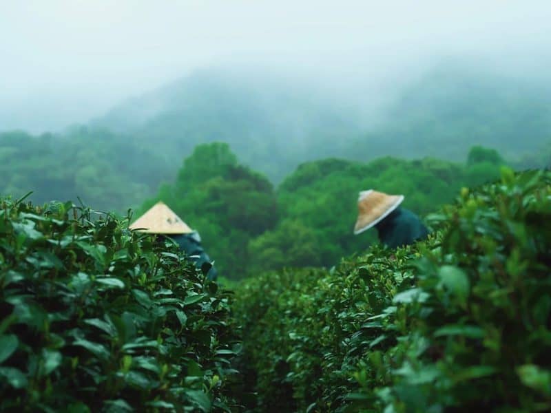 Medical Tourism in China | Suzhou Fenglin International