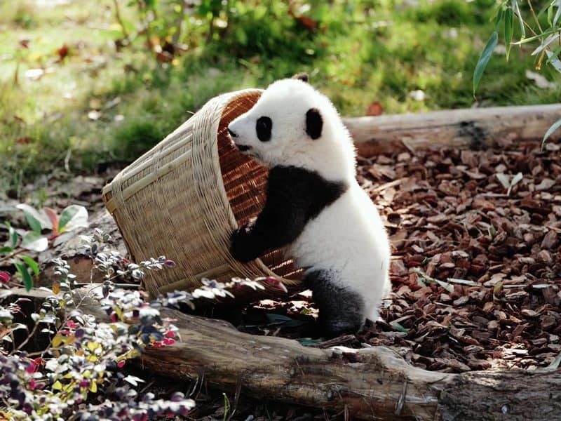 Medical Tourism in China | Suzhou Fenglin International