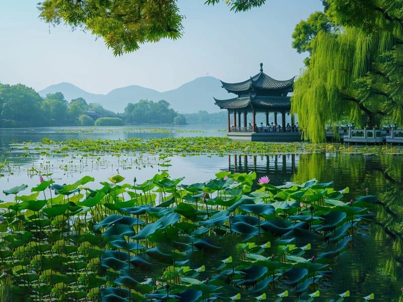 Medical Tourism in China | Suzhou Fenglin International