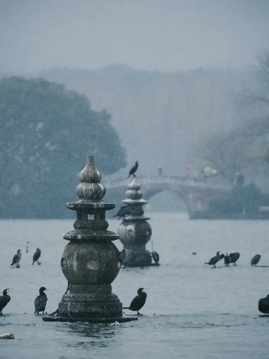 Medical Tourism in China | Suzhou Fenglin International