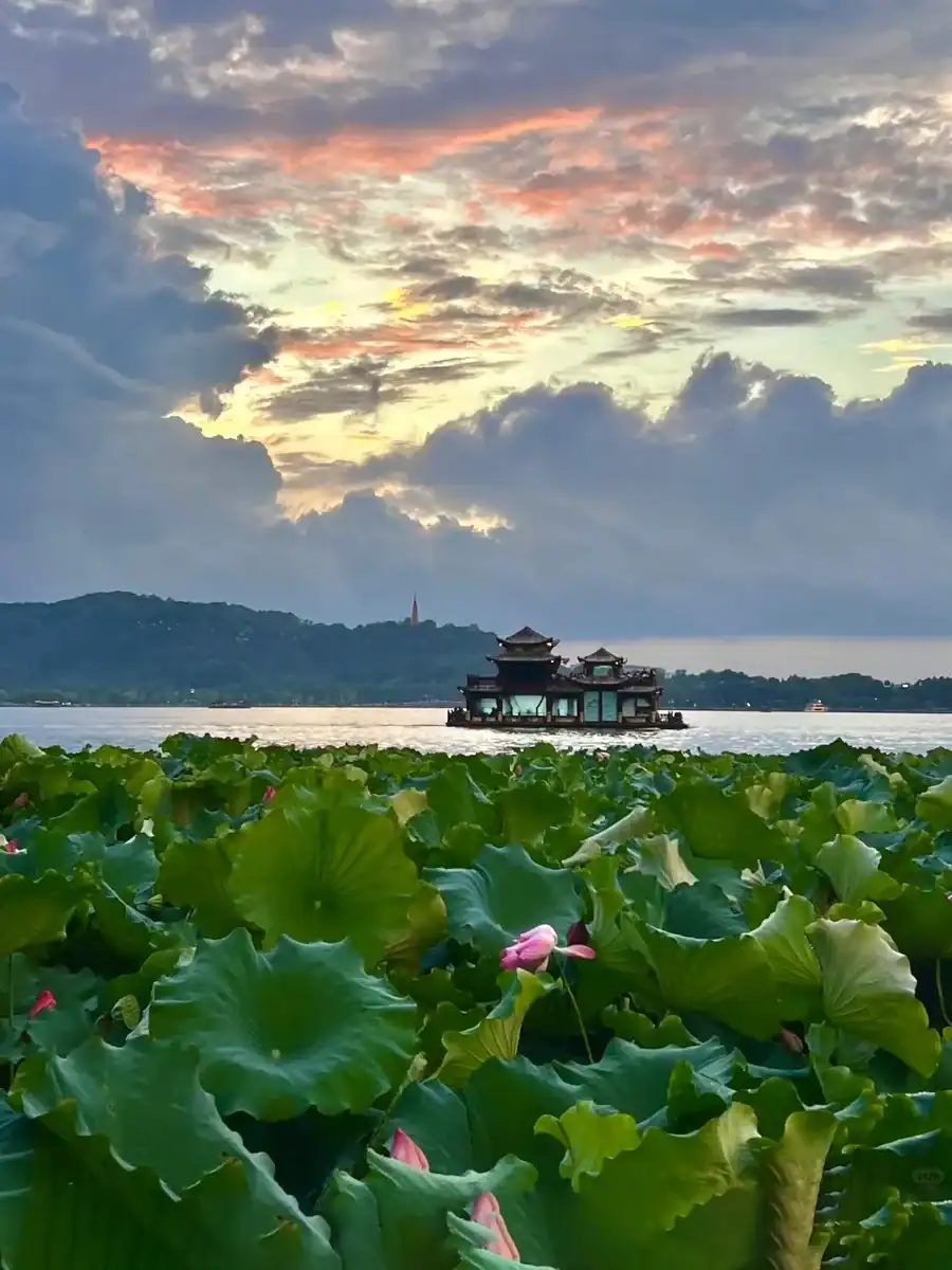 Medical Tourism in China | Suzhou Fenglin International