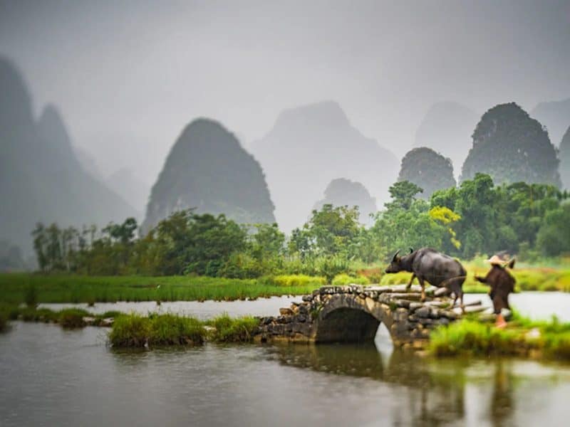 Medical Tourism in China | Suzhou Fenglin International