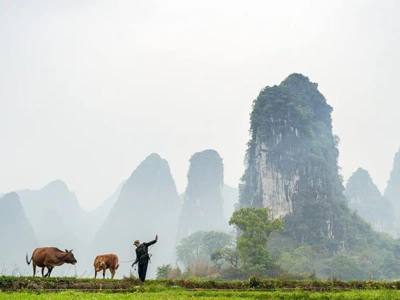 Medical Tourism in China | Suzhou Fenglin International