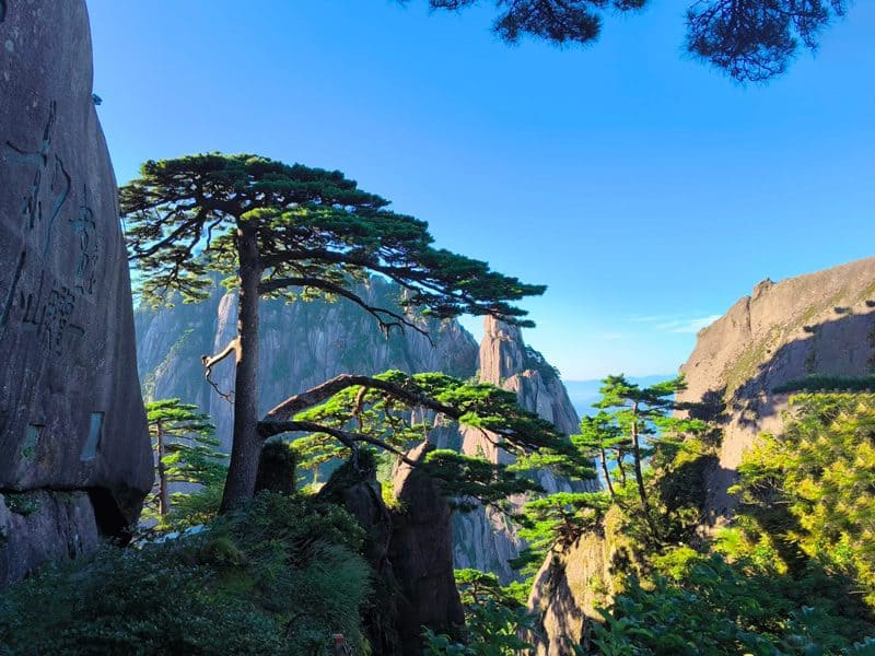 Medical Tourism in China | Suzhou Fenglin International